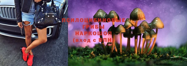 apvp Баксан