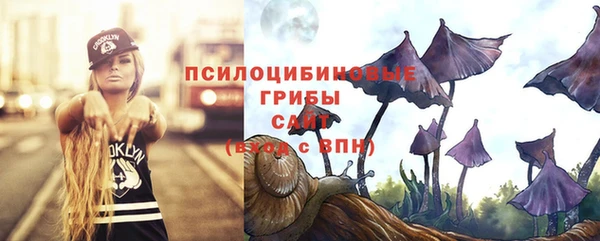 apvp Баксан