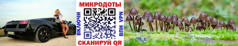Галлюциногенные грибы прущие грибы Минеральные Воды